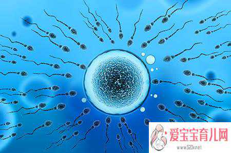 四川供卵试管婴儿哪家好_供卵中介合法吗_二胎，乳腺病后还能生吗？